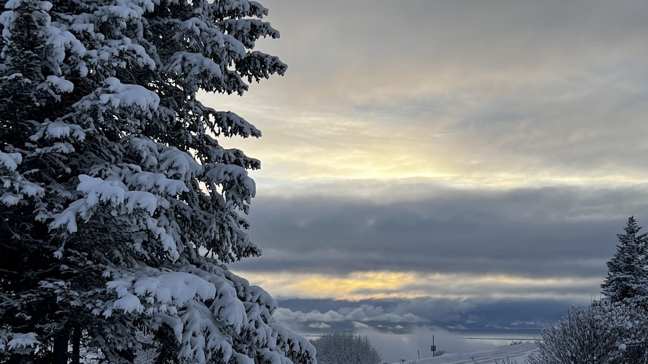 Photo of Outdoor in Fritz Creek
