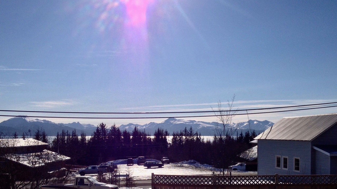 Photo of Others in Homer