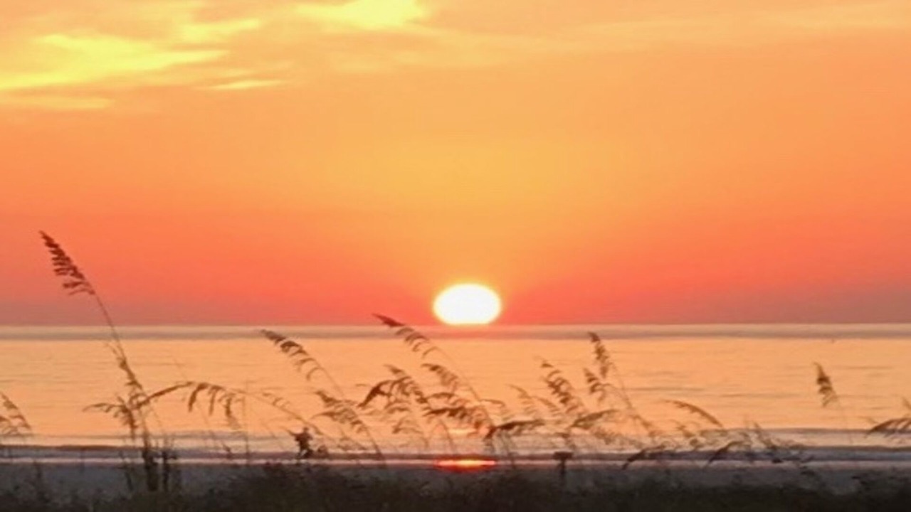 Photo of Others in St. Augustine Beach