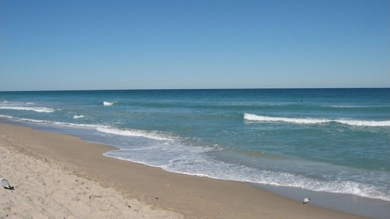 Photo of Others in St. Augustine Beach