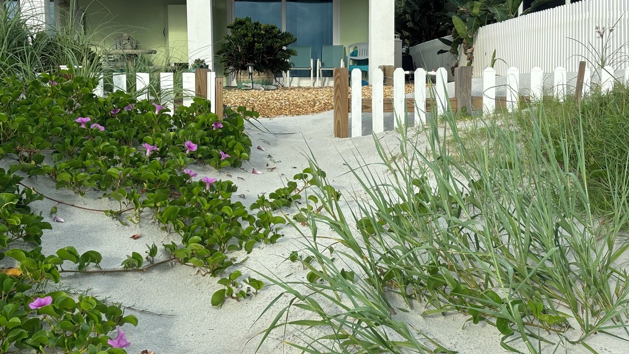 Photo of Outdoor in Vilano Beach