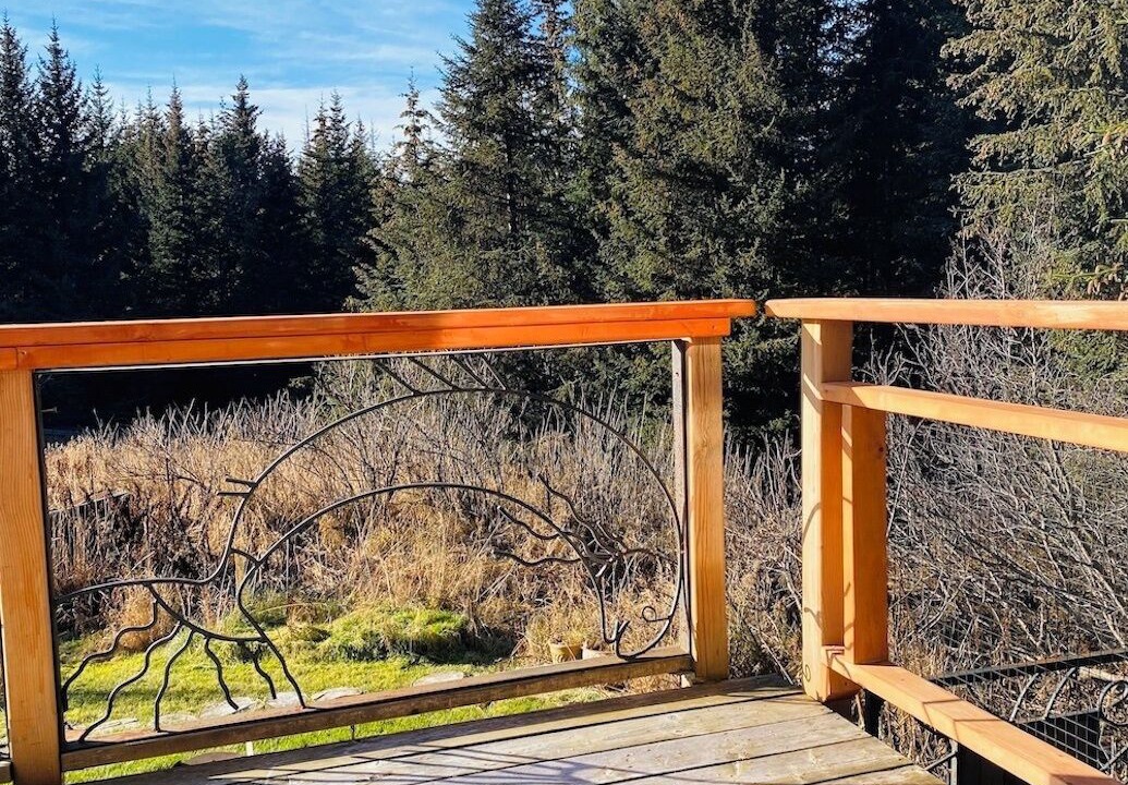 Photo of Outdoor in Homer