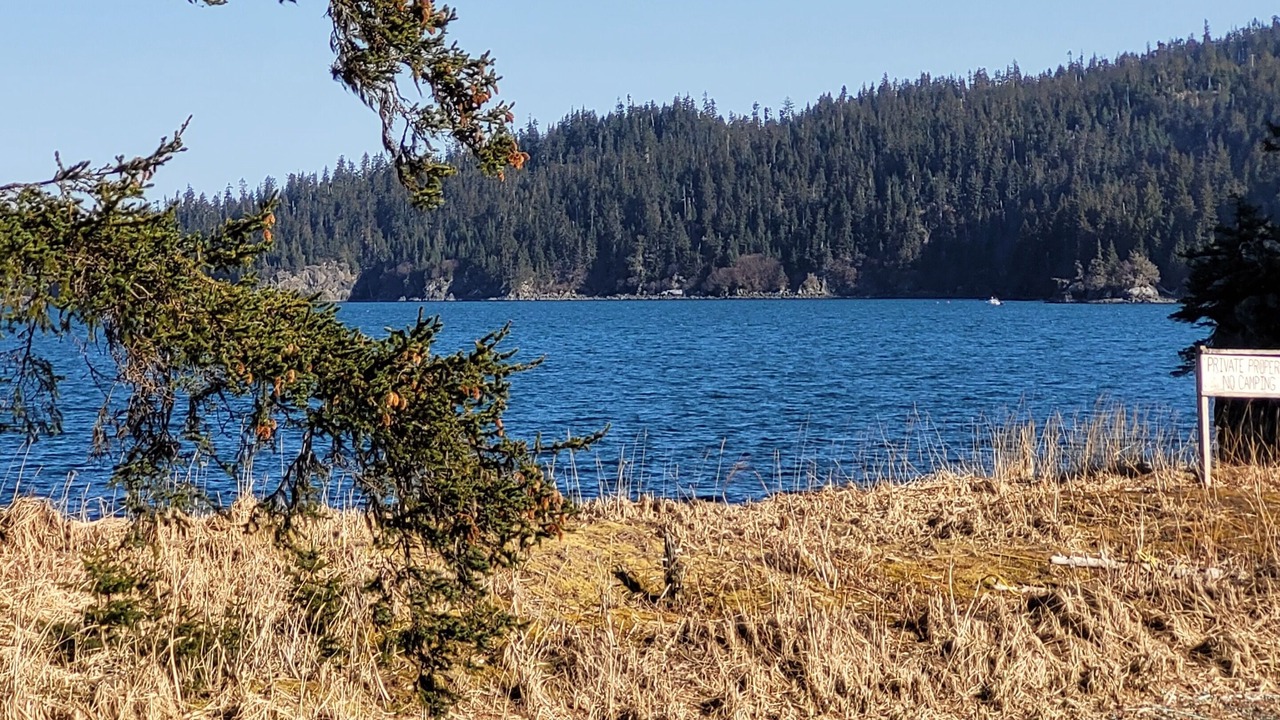 Photo of Others in Homer