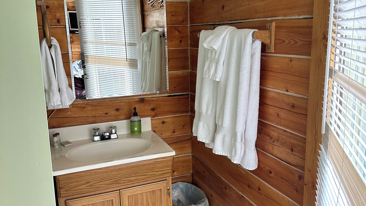 Photo of Bathroom in Homer