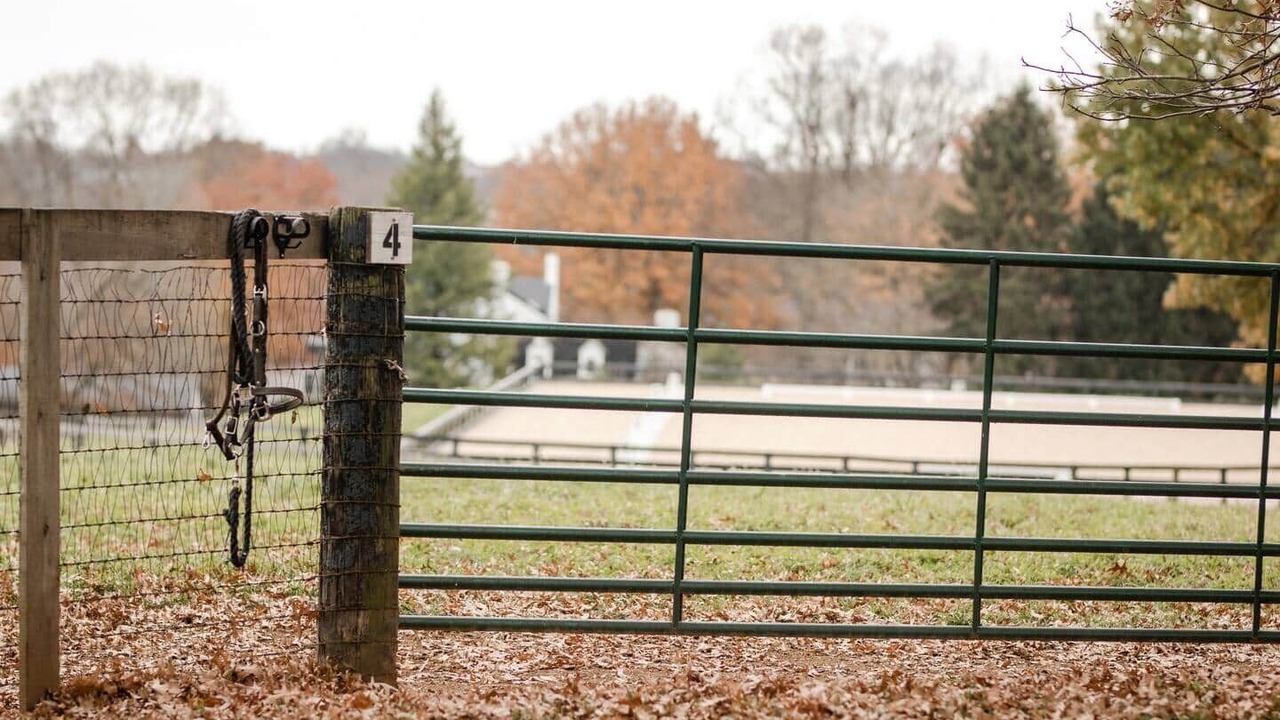 Photo of Outdoor in Paris