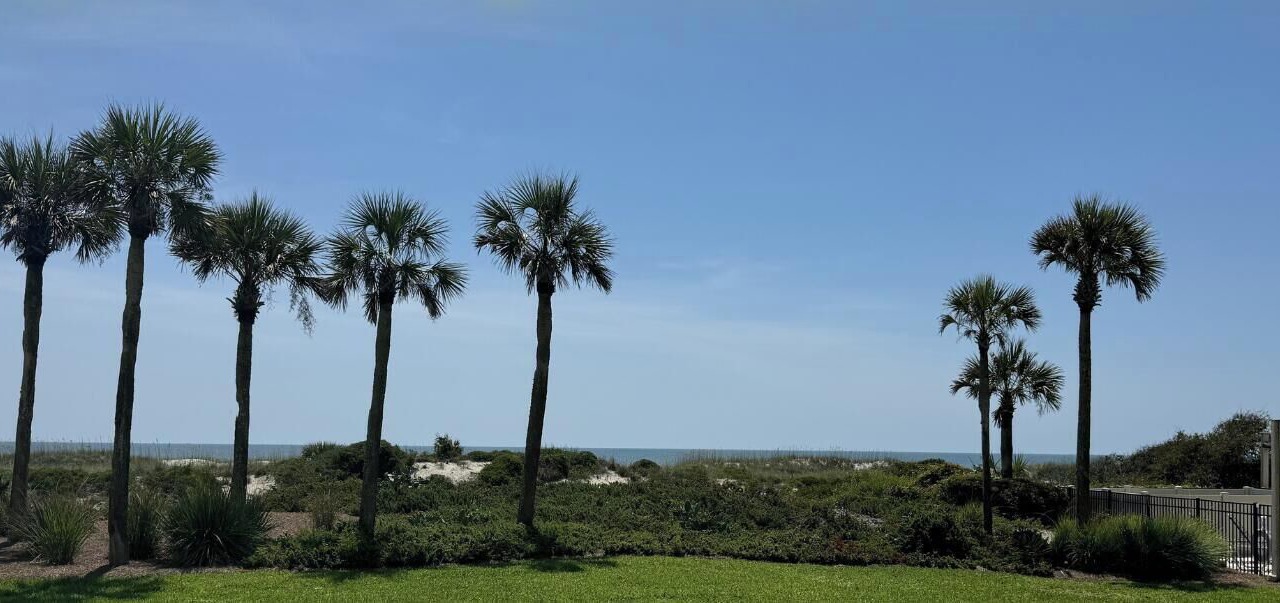 Photo of Others in Amelia City