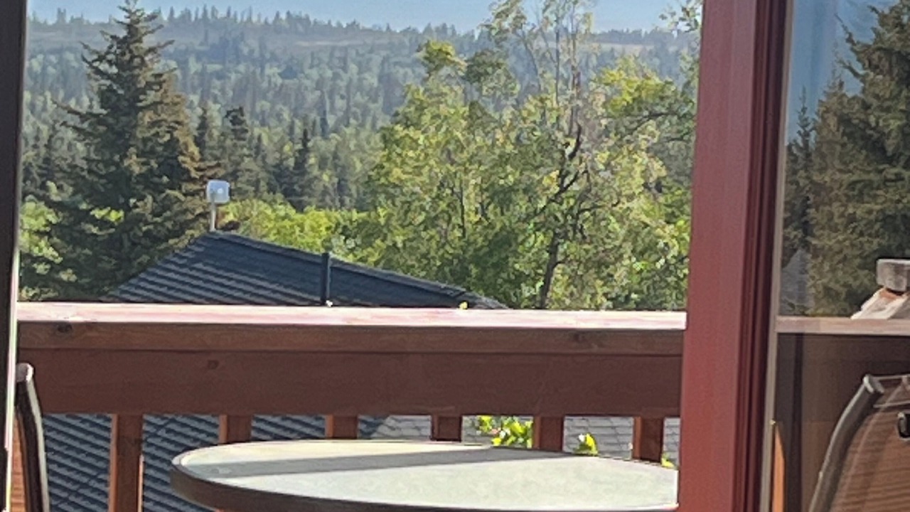 Photo of Outdoor in Fritz Creek