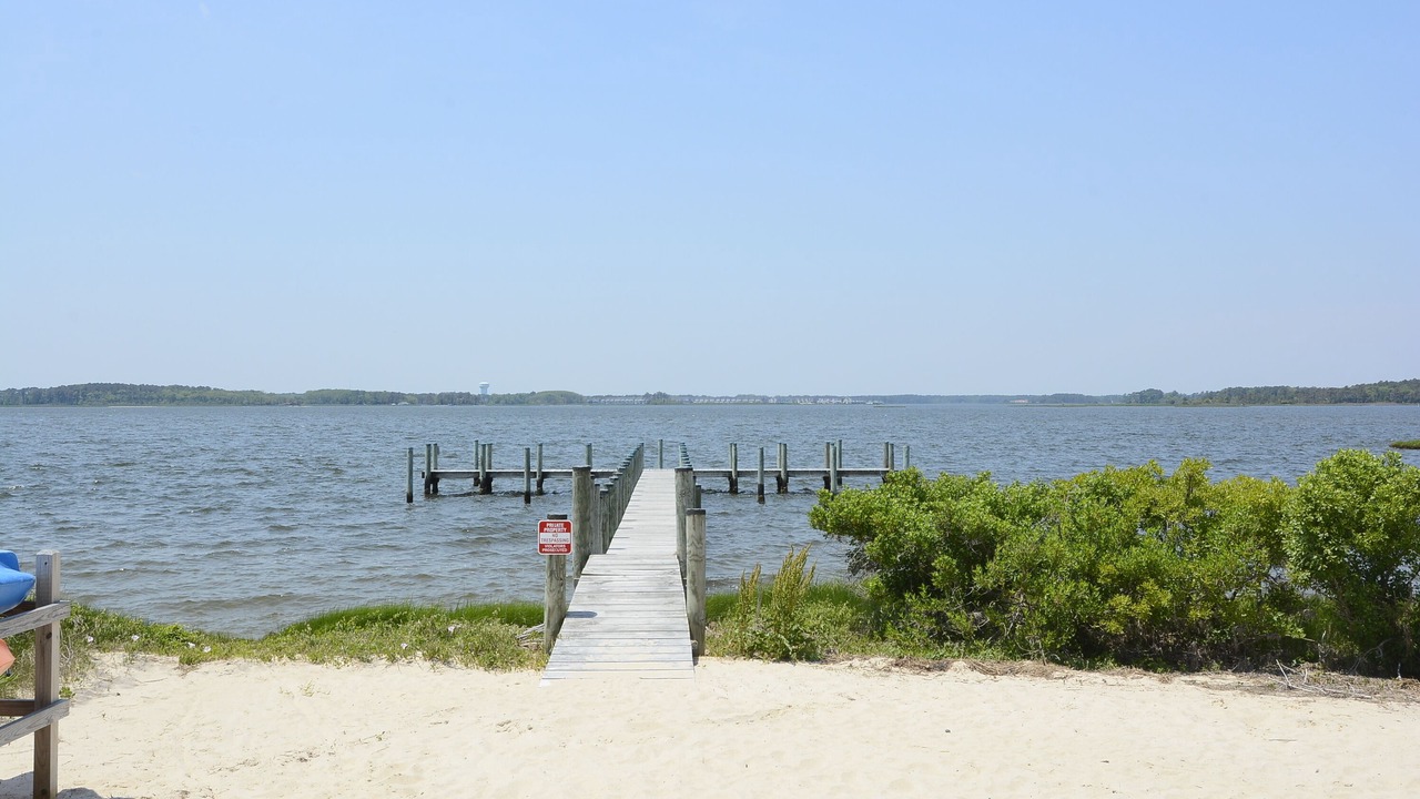 Photo of Outdoor in Fenwick Island